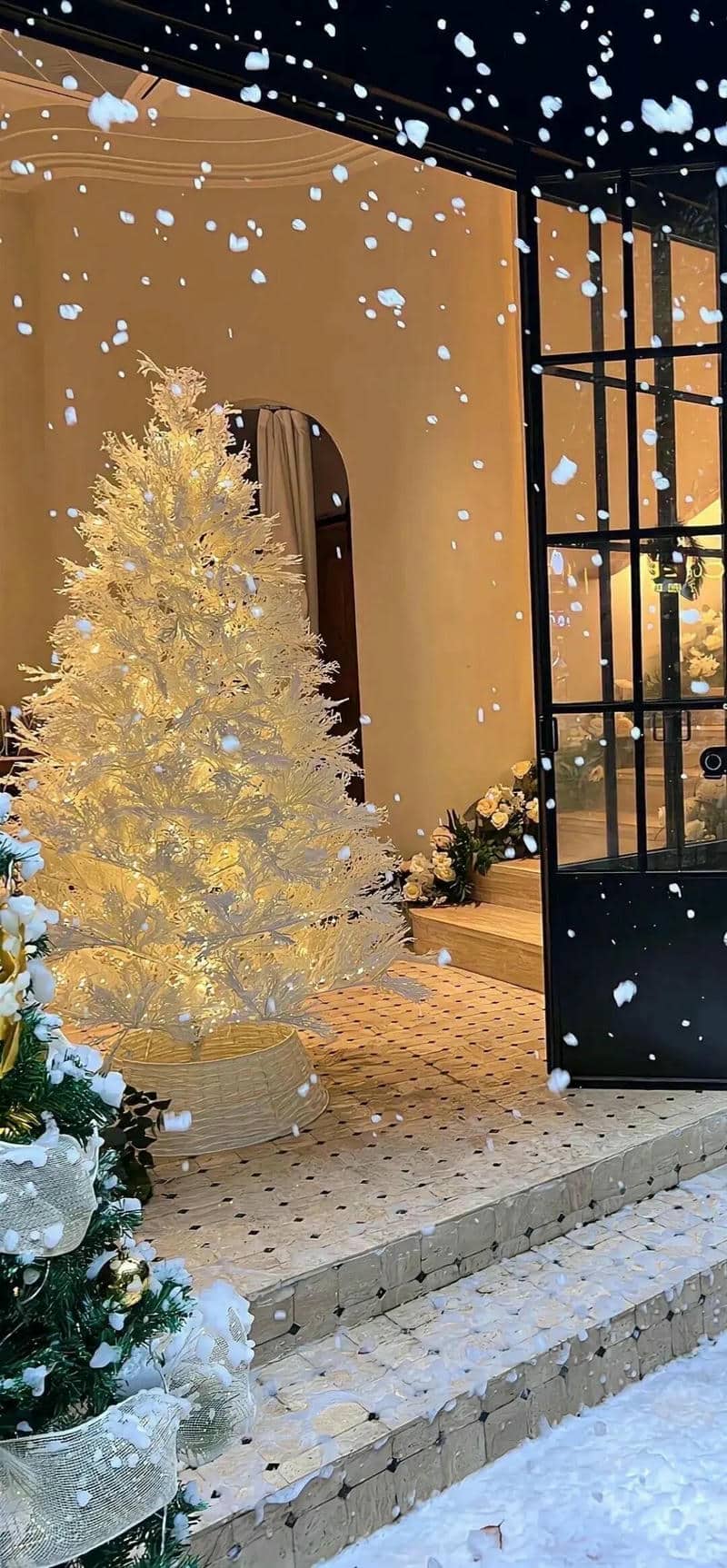 hình noel