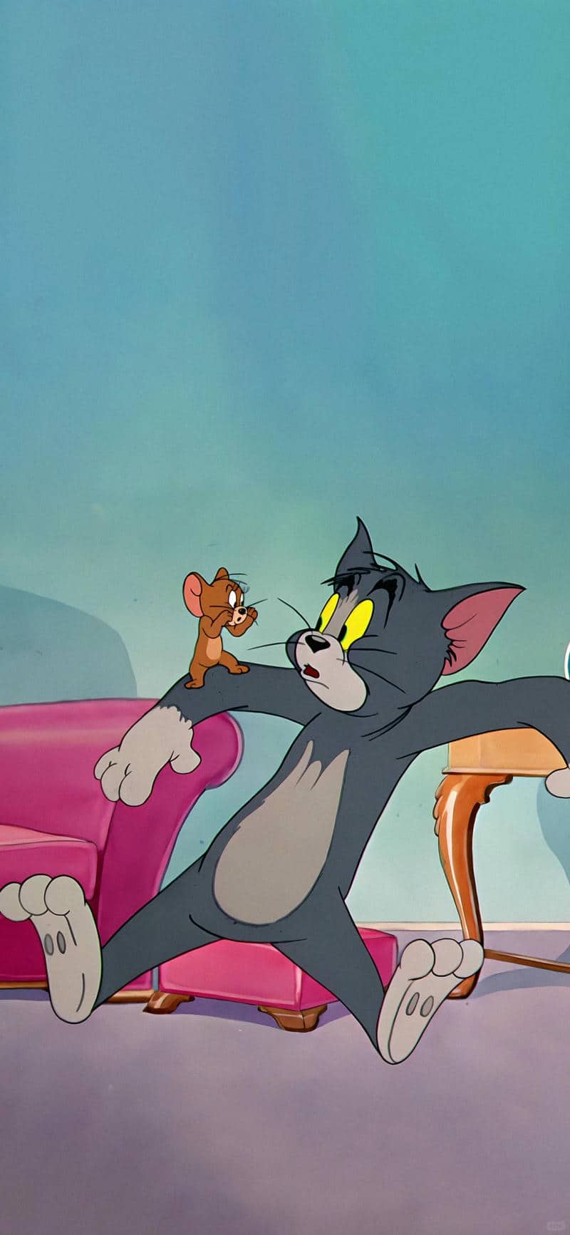 hình tom và jerry