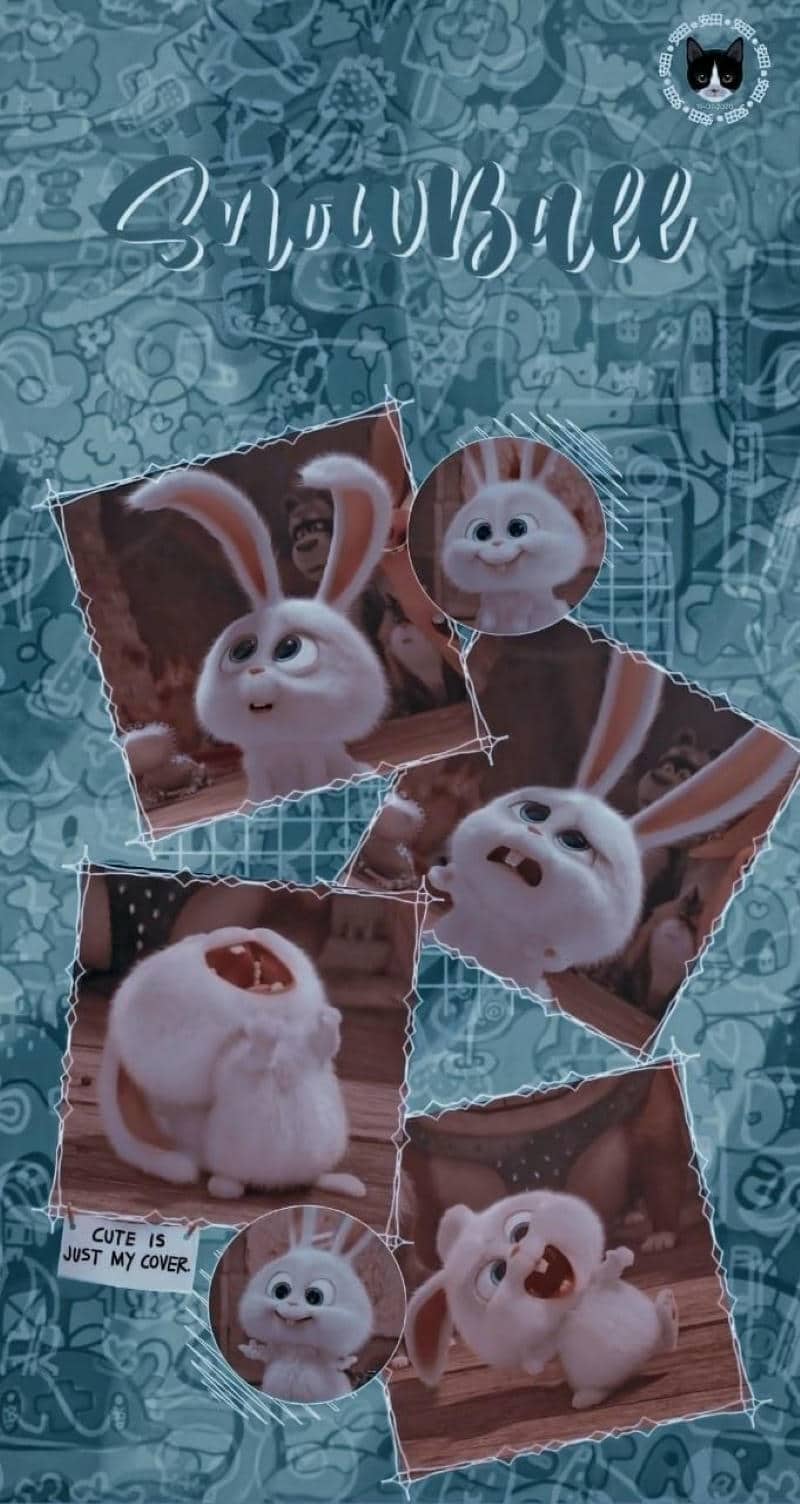snowball