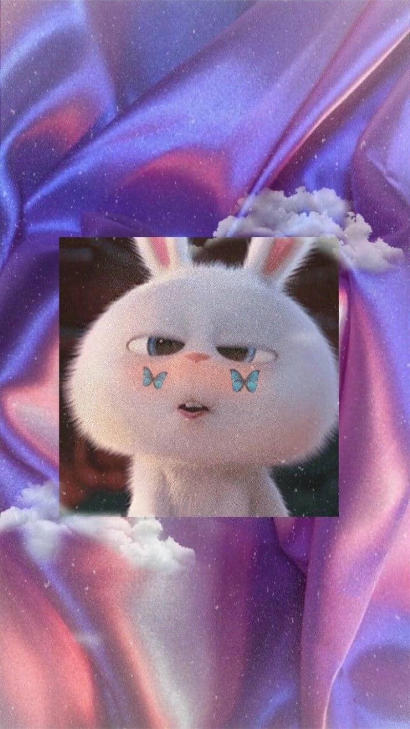 thỏ snowball meme