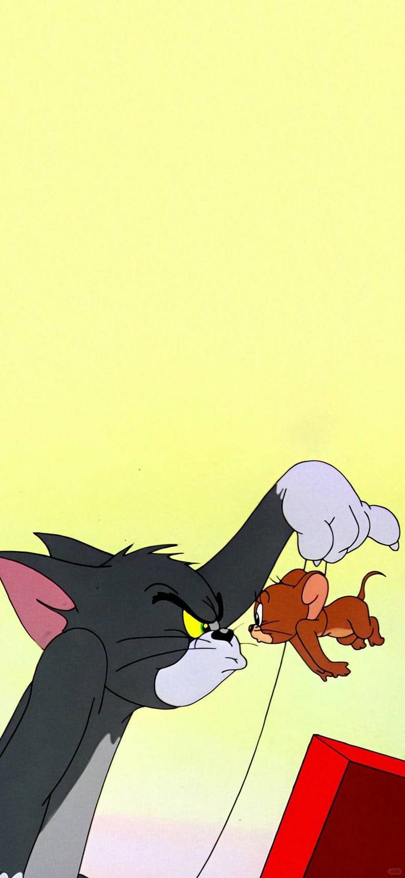 tom mèo jerry