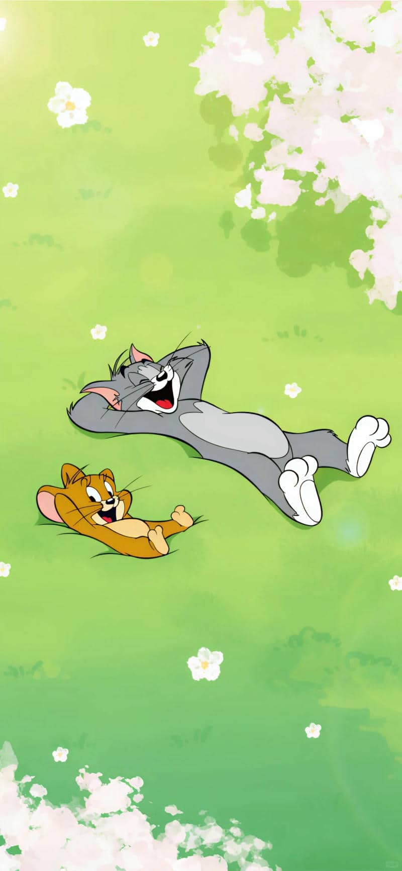 tom va jerry