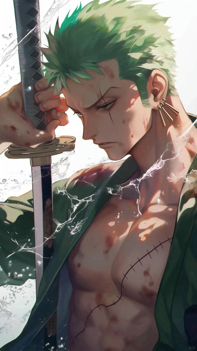 zoro ngầu haki