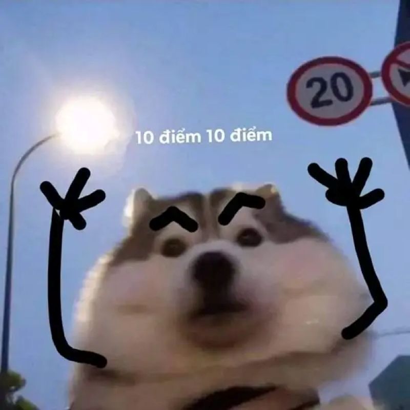 10 điểm chế