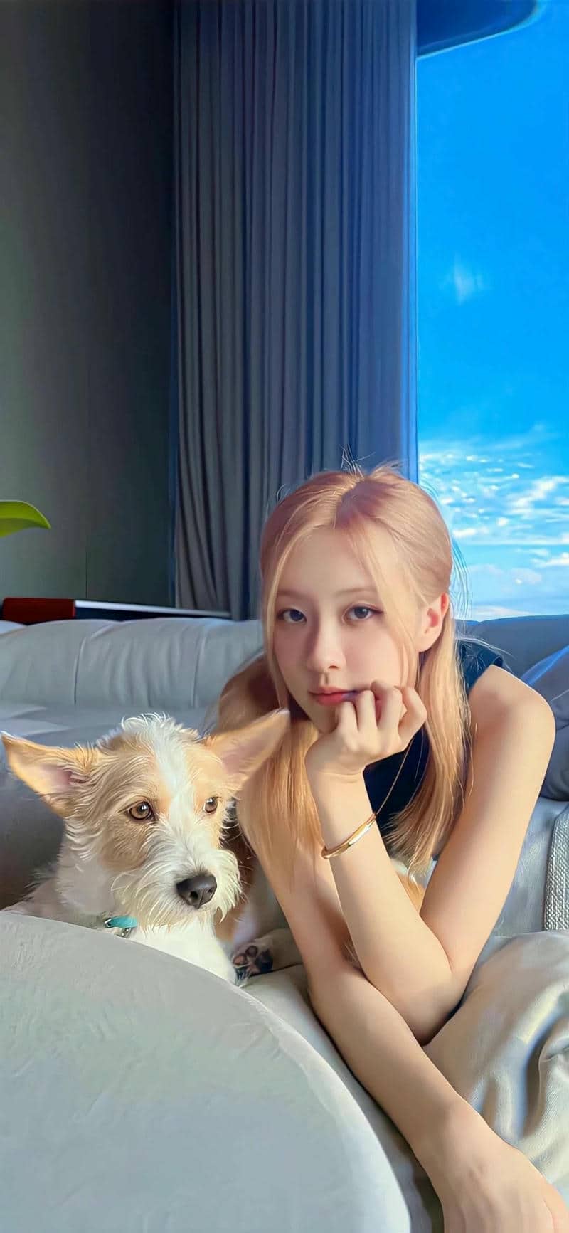 Rose hình nền đt