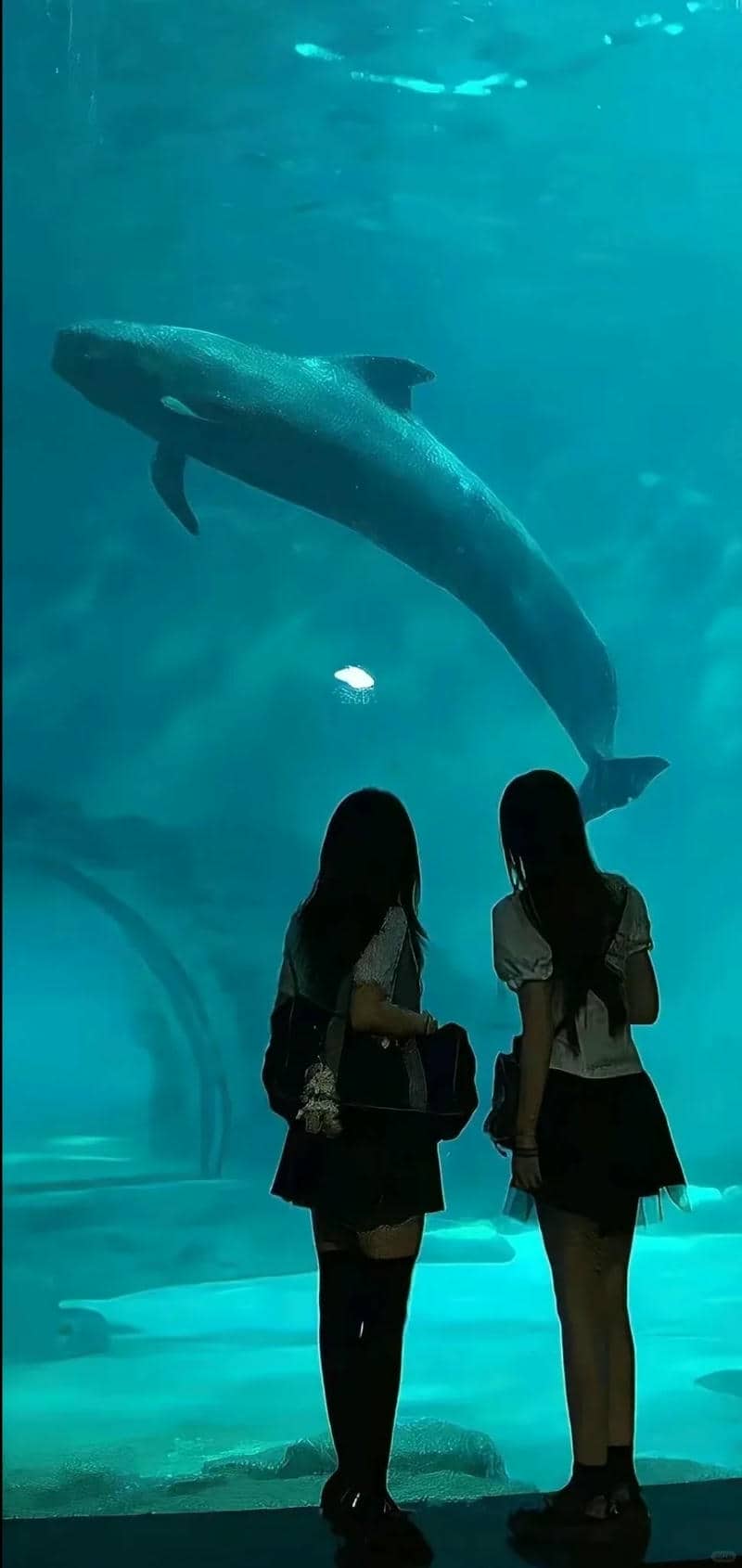ảnh bạn thân 2 người nữ
