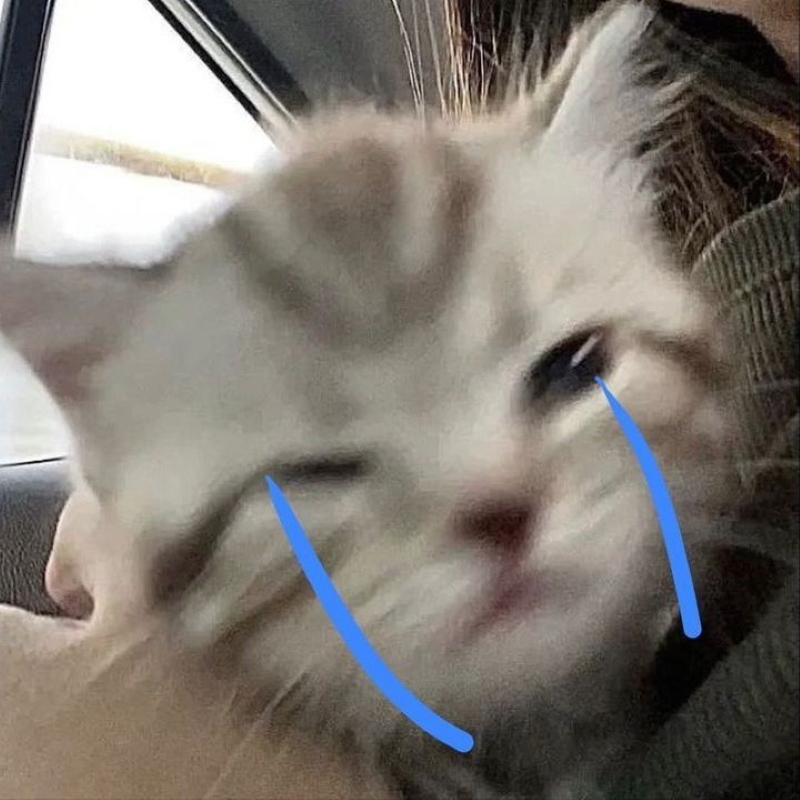 ảnh buồn meme