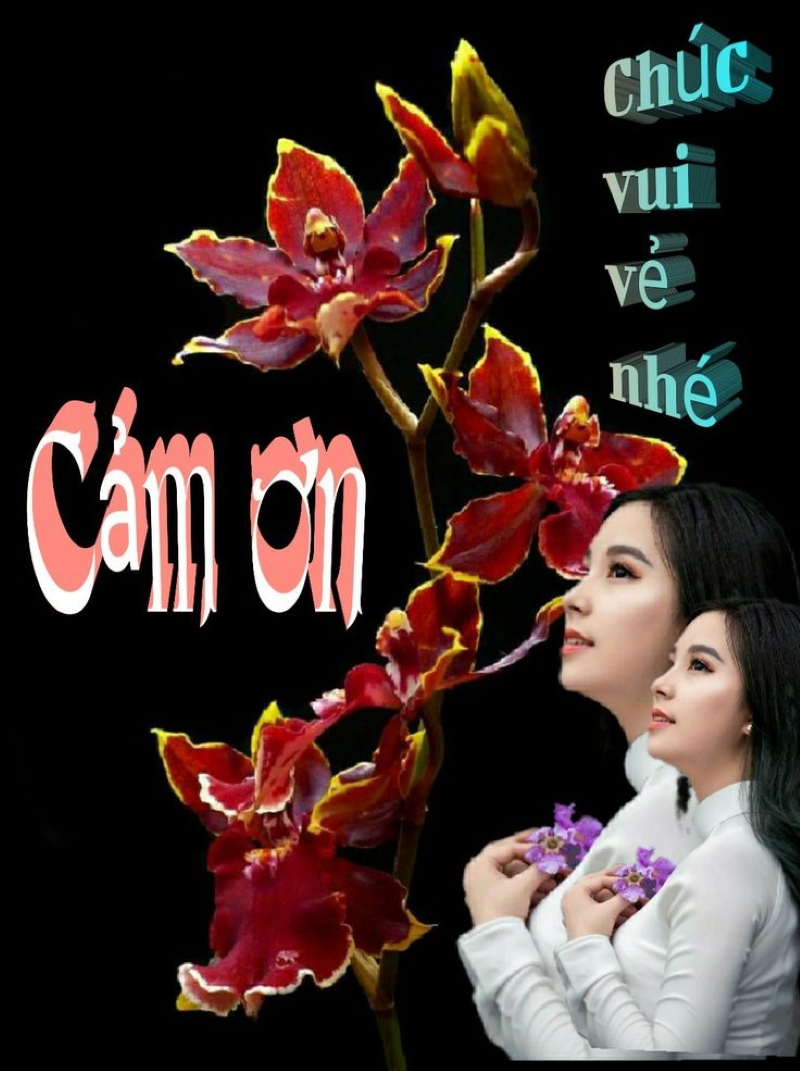 ảnh cảm ơn hài hước