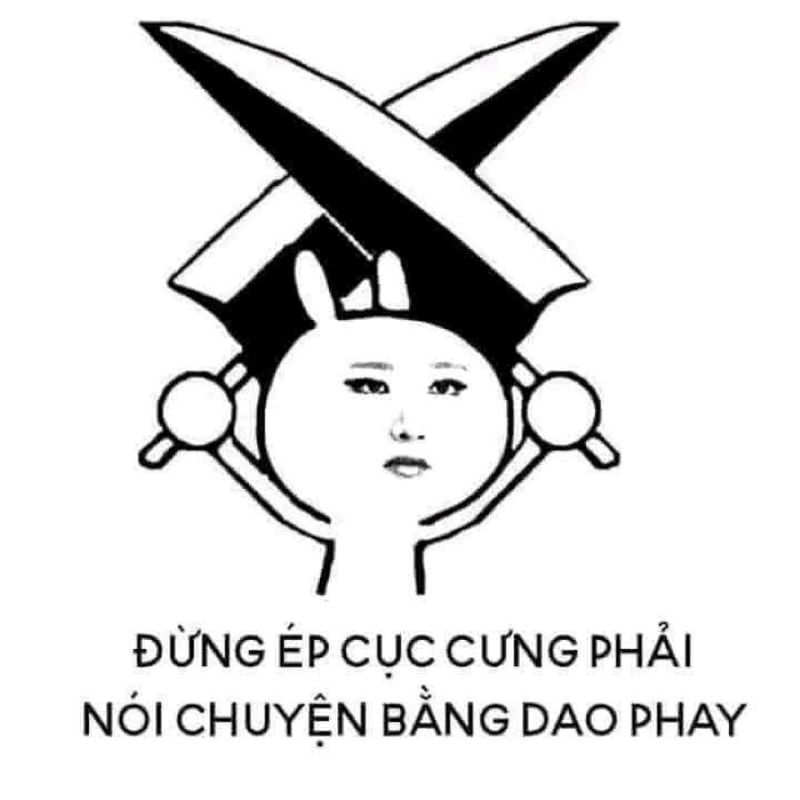 ảnh cầm phóng