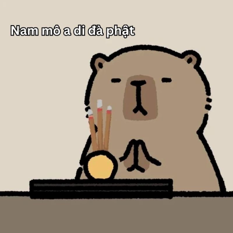 ảnh capybara meme hài hước
