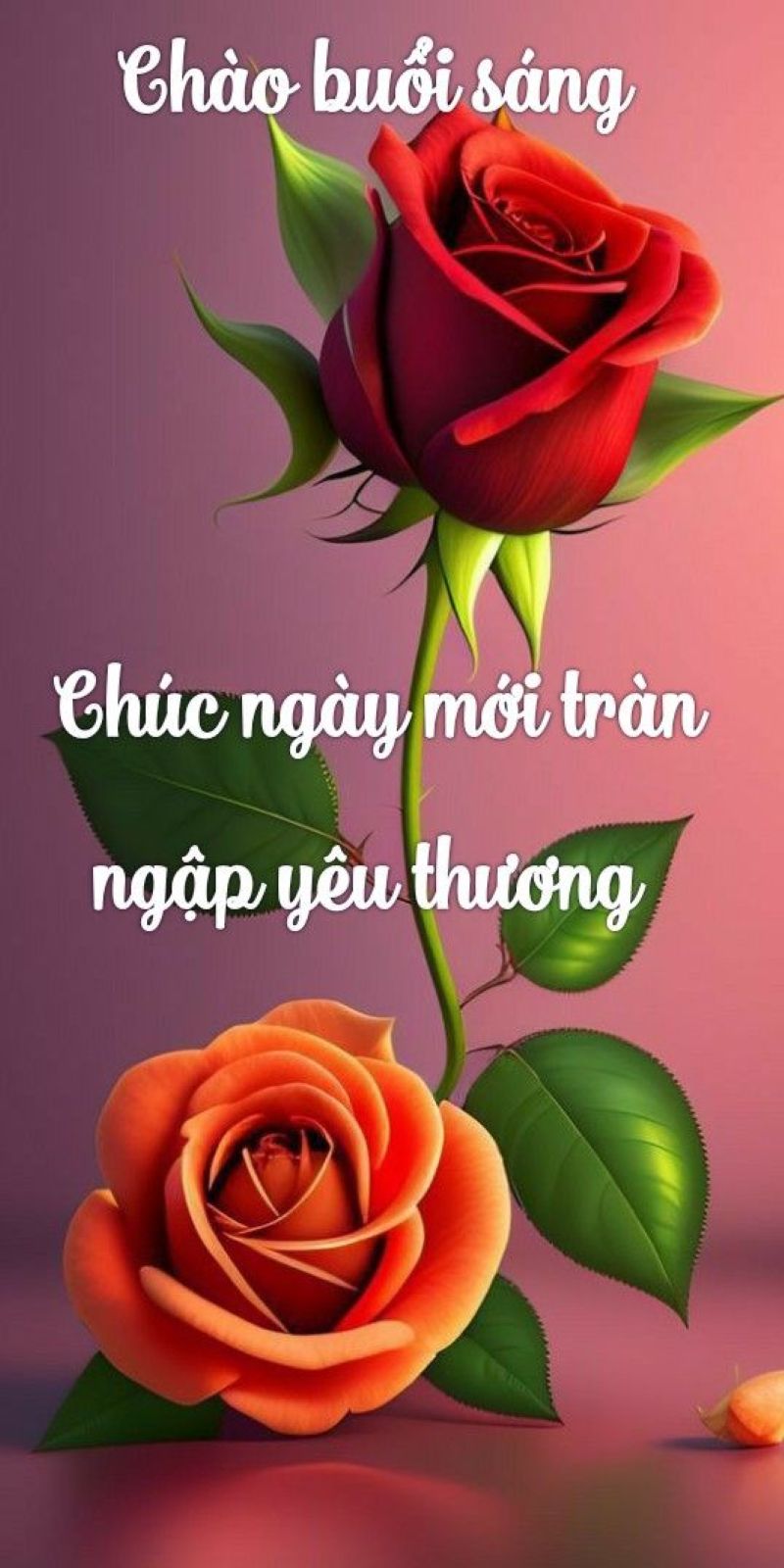 ảnh chào buổi sáng meme hài hước