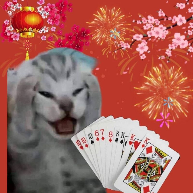 ảnh chế tết