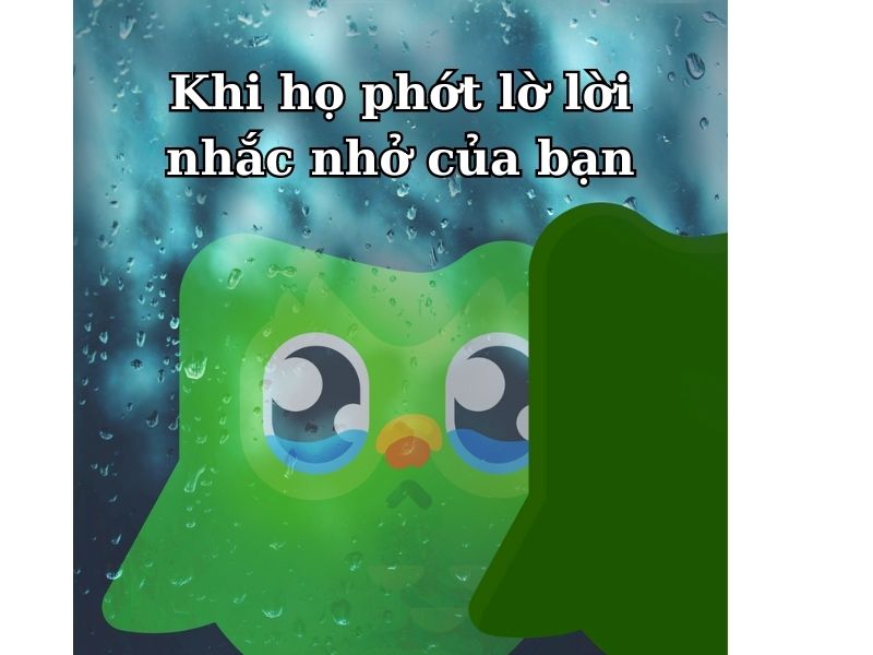 ảnh chế troll