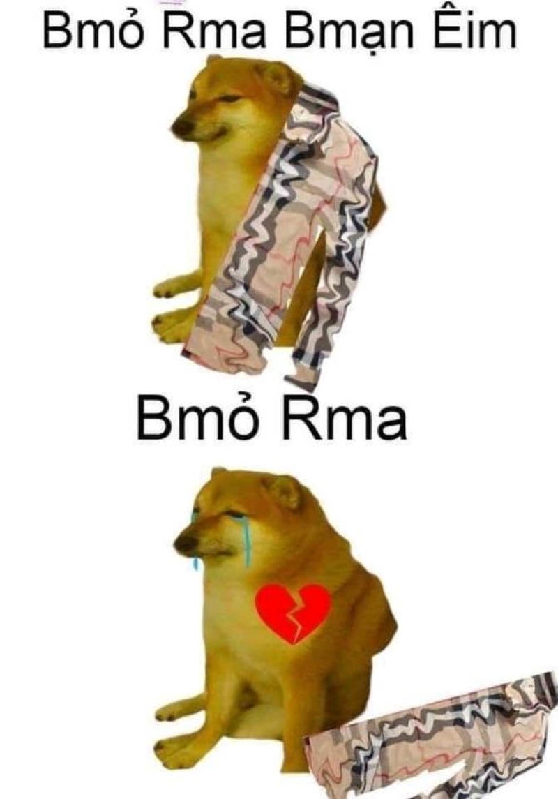 ảnh cheems meme