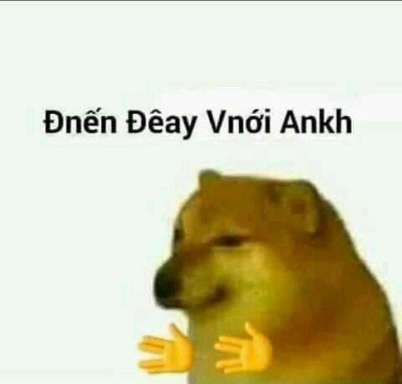 ảnh chó meme