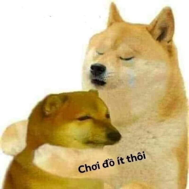 ảnh chó ôm nhau