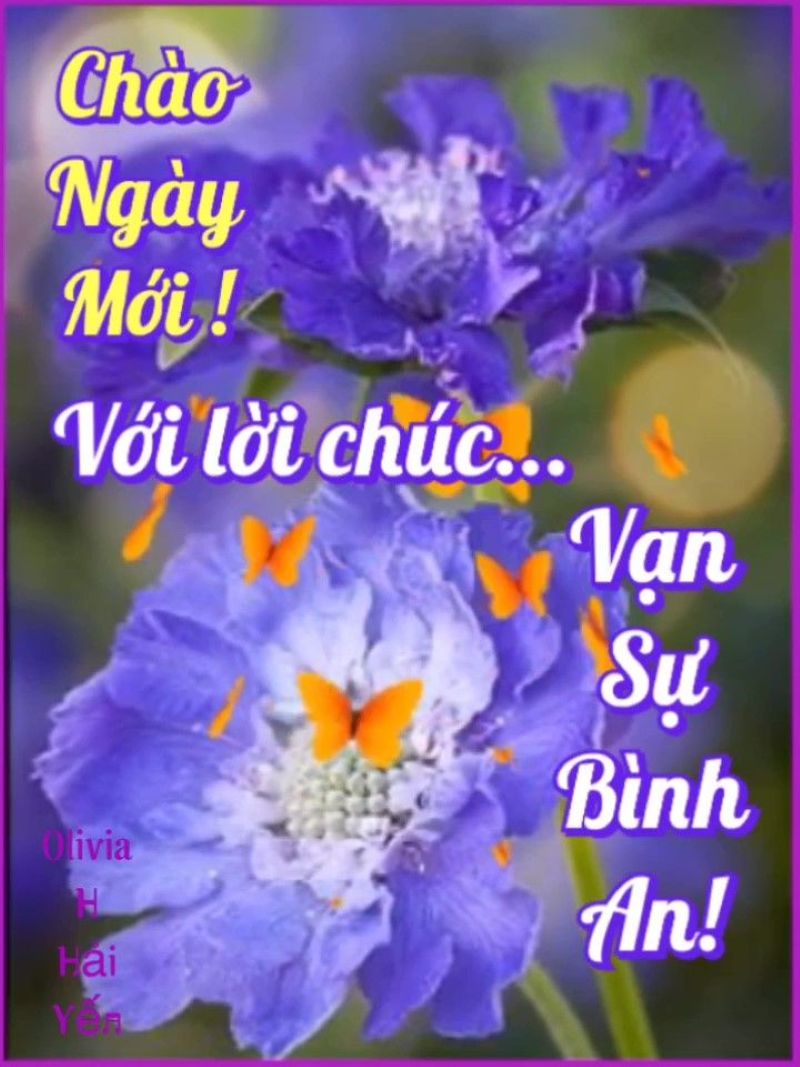 ảnh chúc buổi sáng meme hài hước