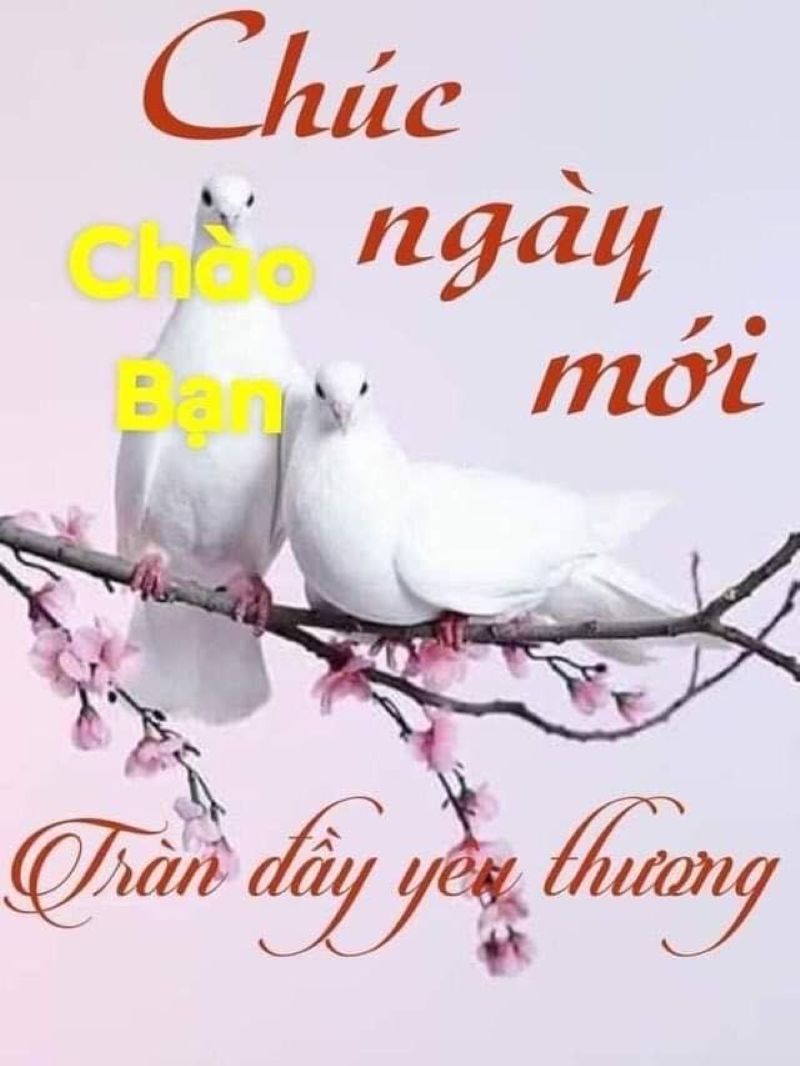ảnh chúc buổi sáng meme hài