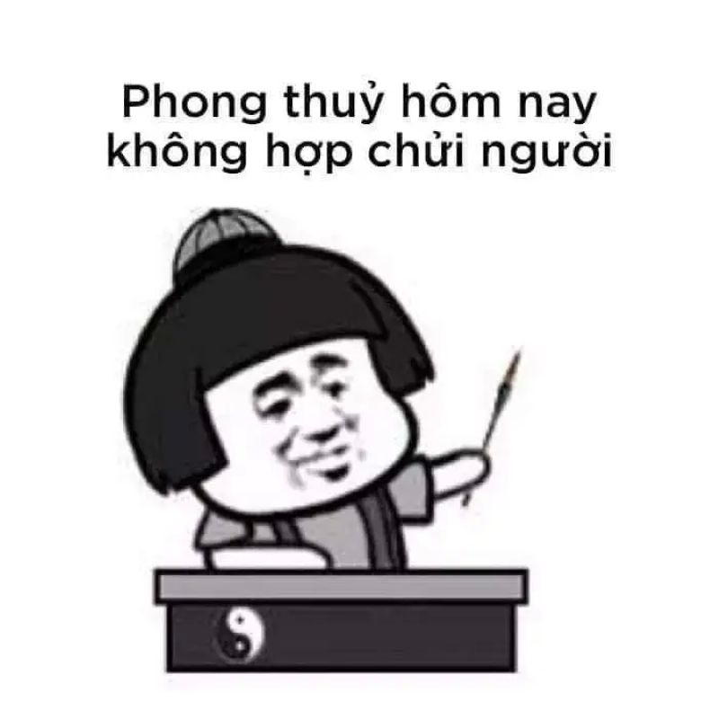 ảnh chửi nhau