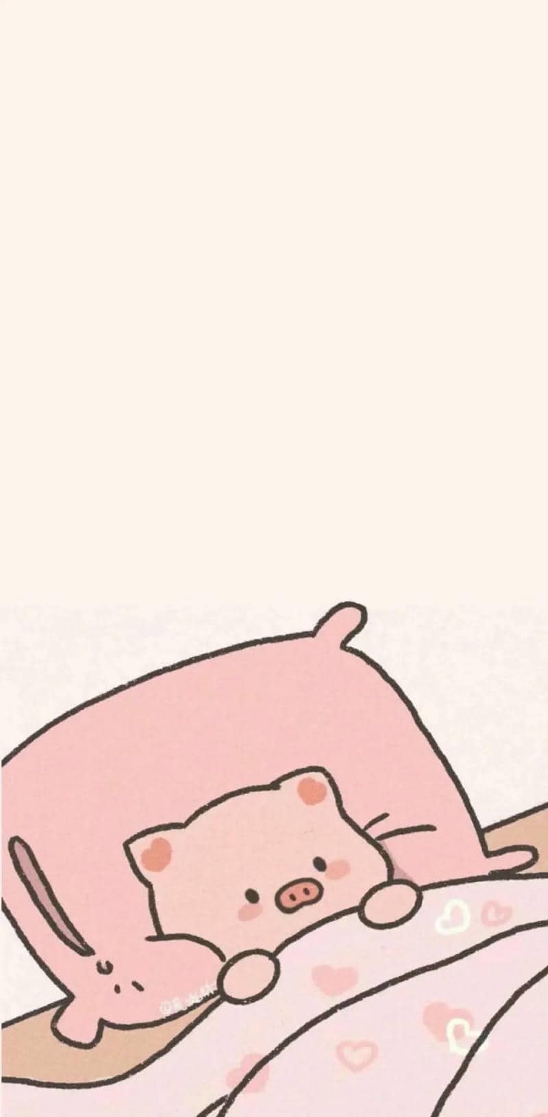ảnh con lợn
