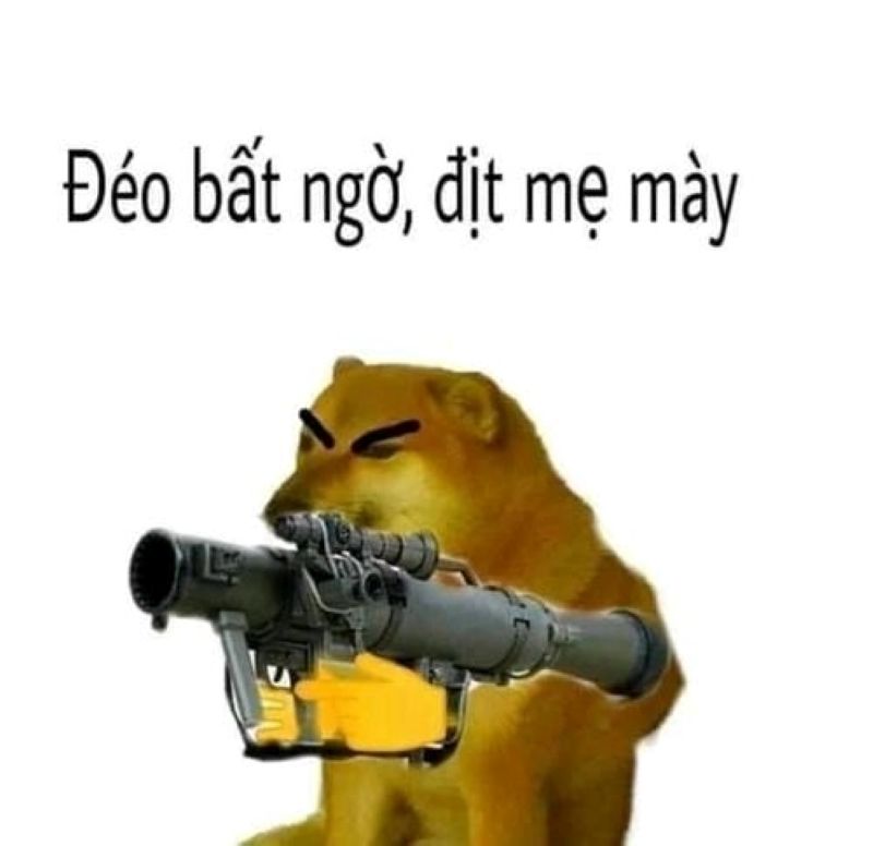 ảnh con mèo cầm súng