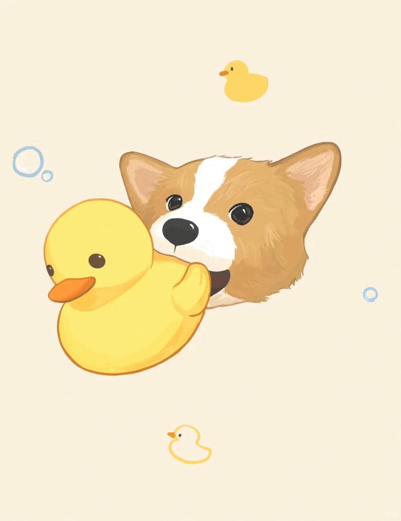 ảnh corgi chibi