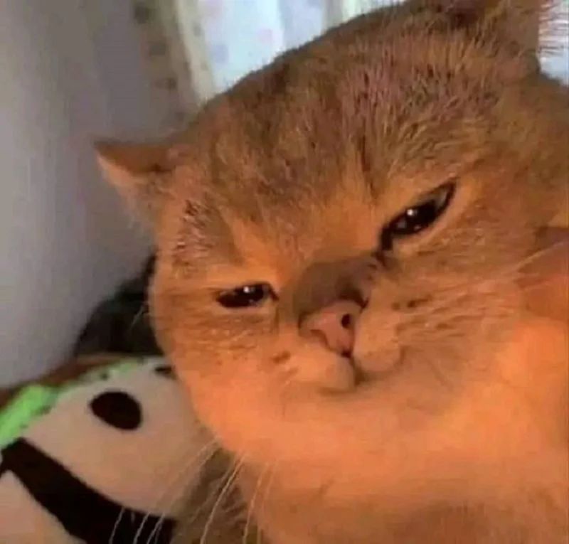 ảnh cười meme