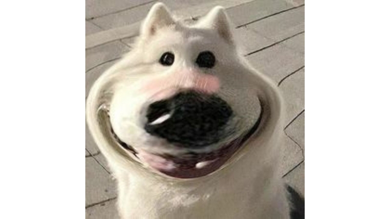 ảnh đại diện meme