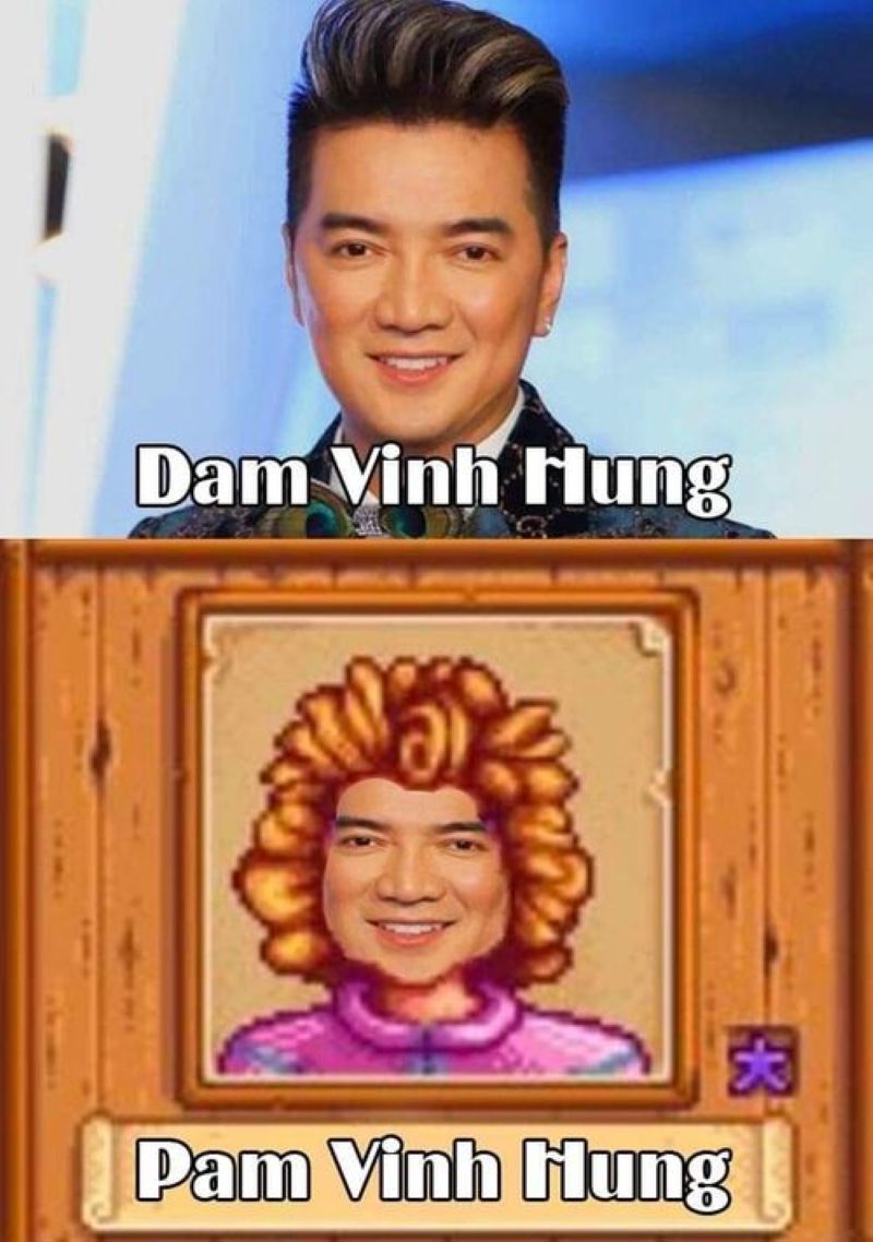 anh dam vinh hung meme