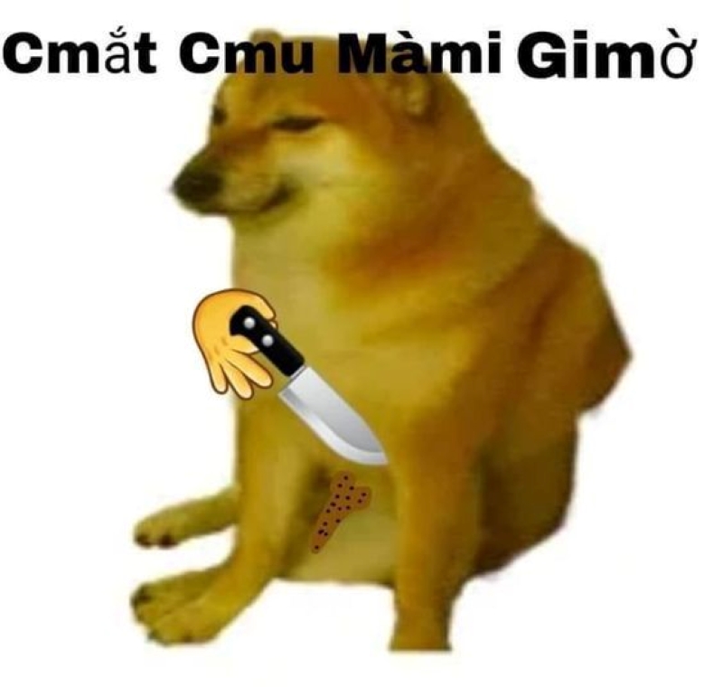ảnh dog meme