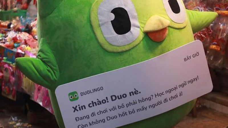 ảnh duolingo