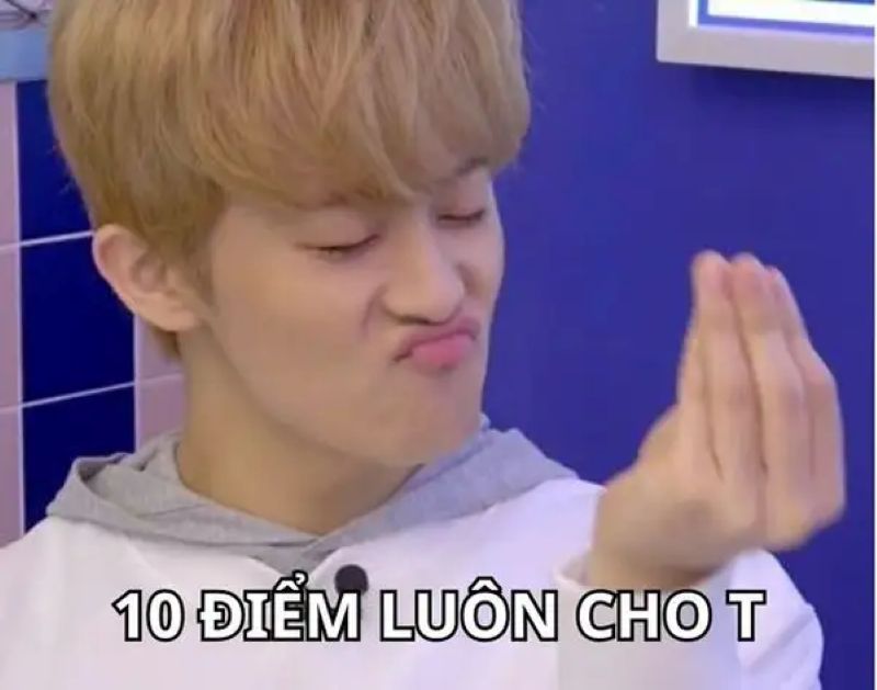 ảnh hài 10 điểm