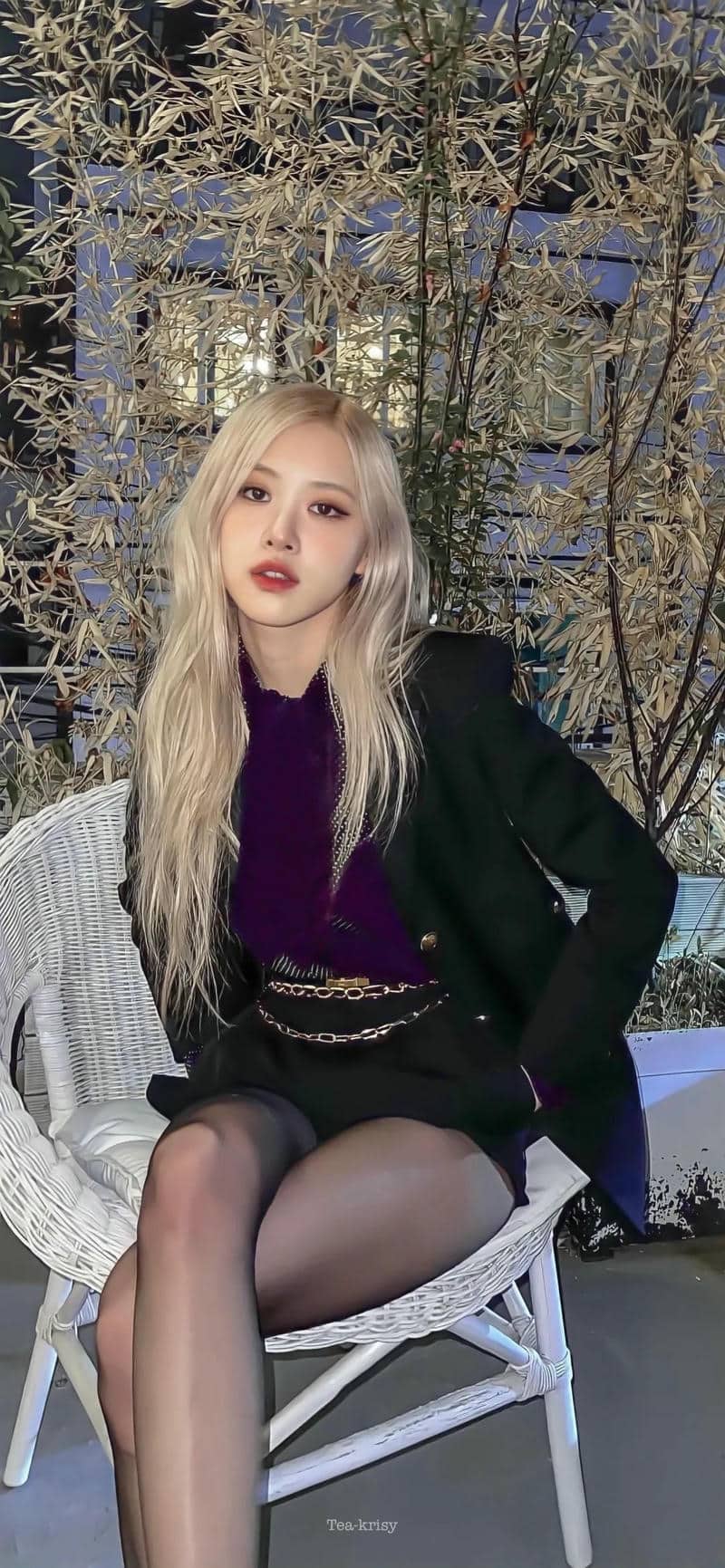 ảnh hình nền Rose