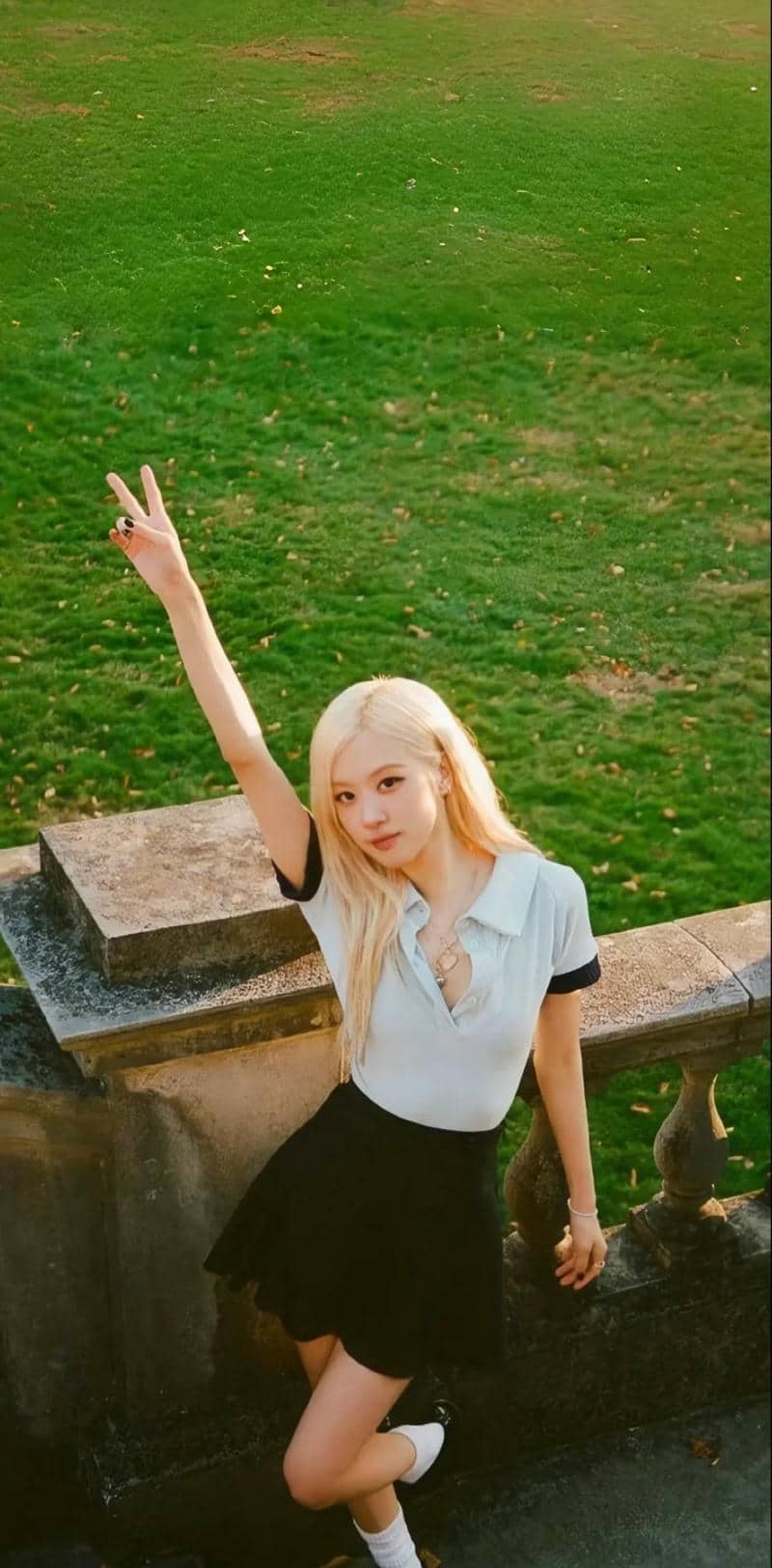 ảnh hình nền đẹp Rose