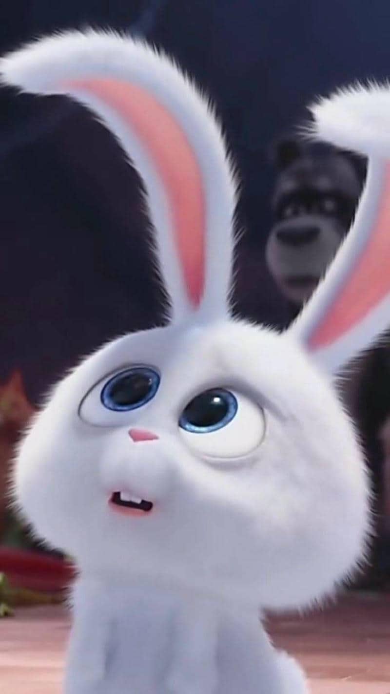 ảnh hình nền thỏ snowball đẹp