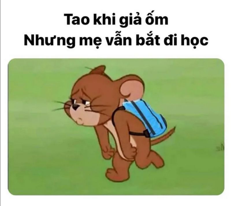 ảnh jerry hài hước
