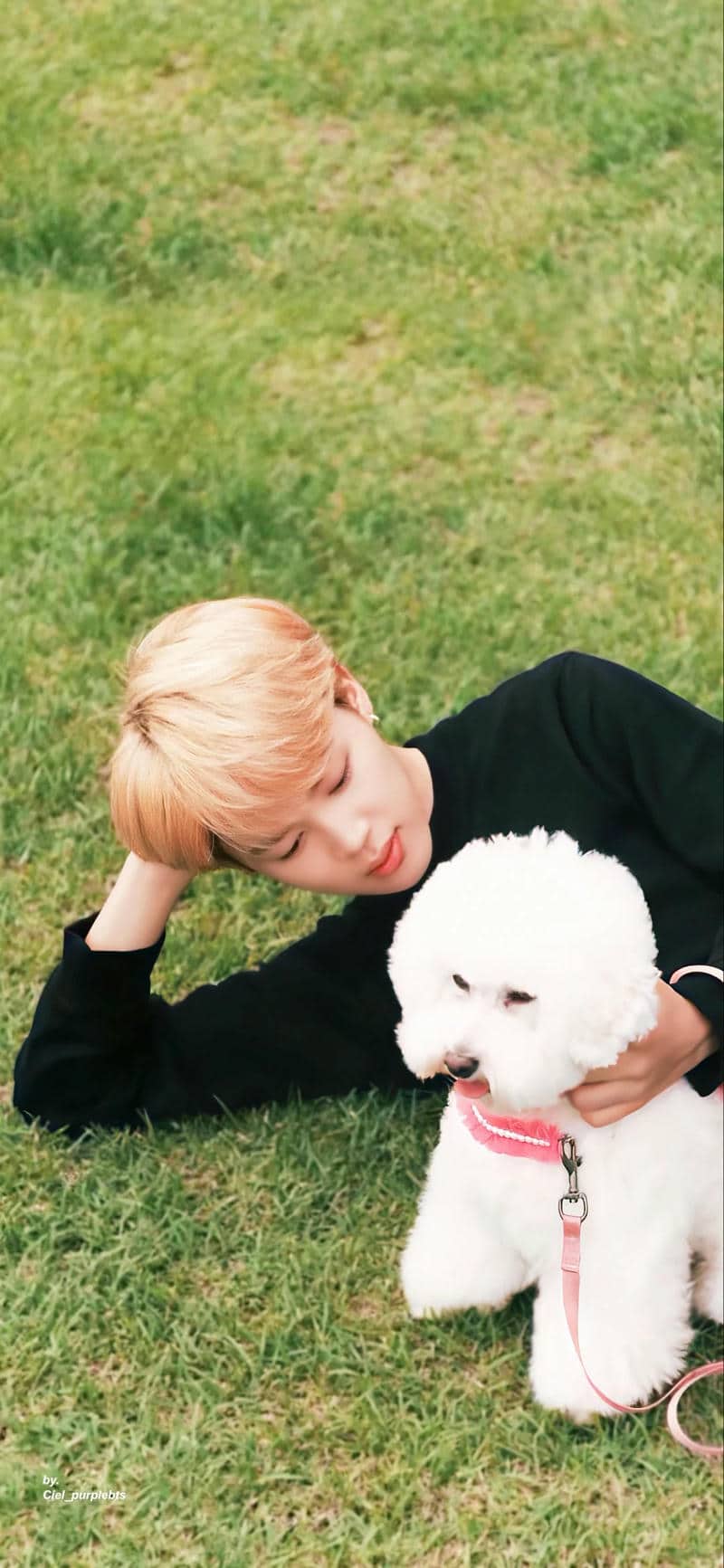 ảnh jimin cute