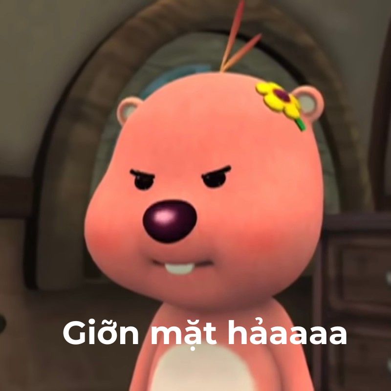 ảnh loppy