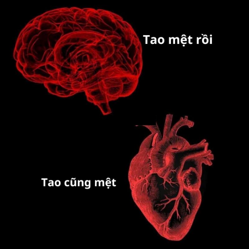 ảnh meme bất lực