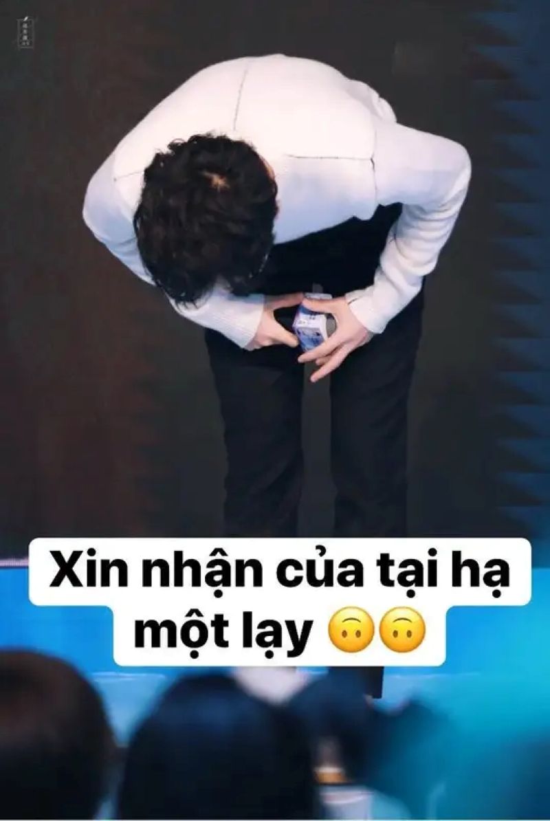 ảnh meme bay màu