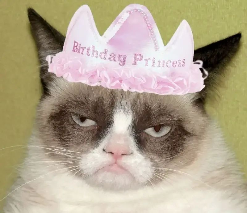ảnh meme birthday