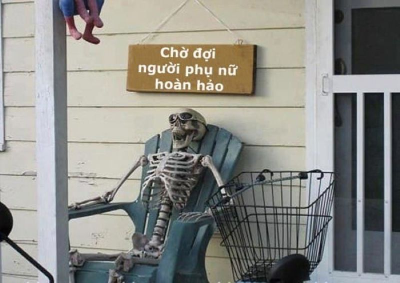 ảnh meme bộ xương chờ đợi