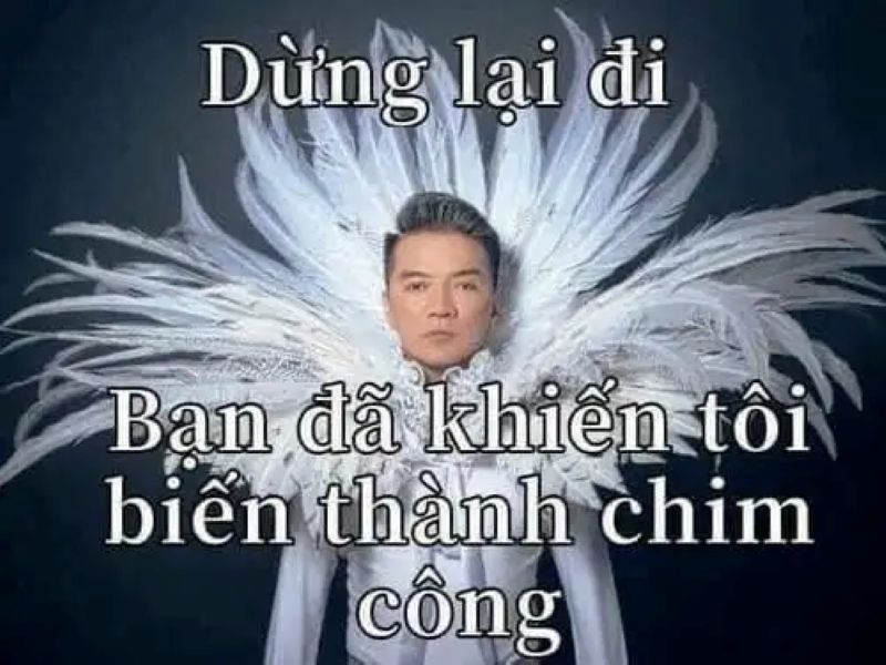 ảnh meme bựa