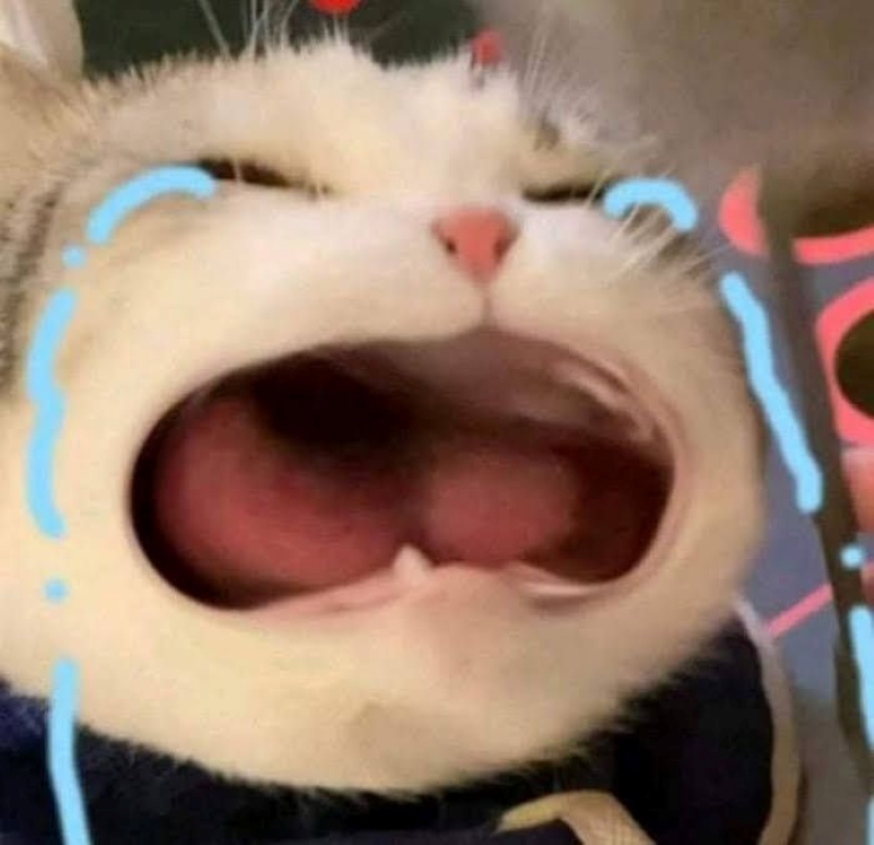 ảnh meme buồn khóc