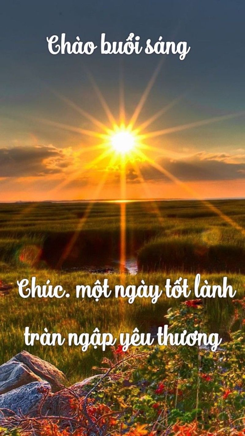 ảnh meme chào