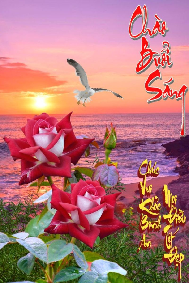 ảnh meme chào buổi sáng