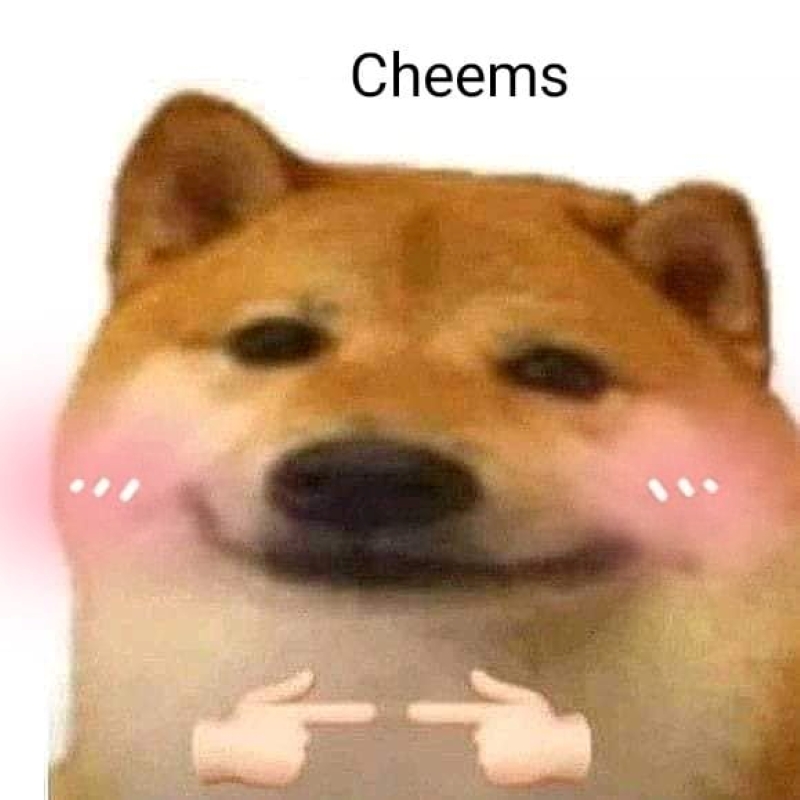 ảnh meme cheems