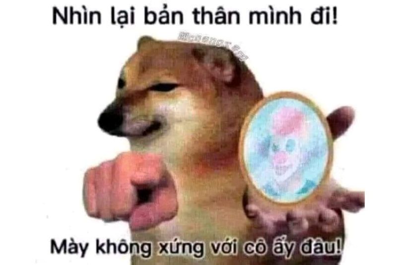ảnh meme chỉ tay hài