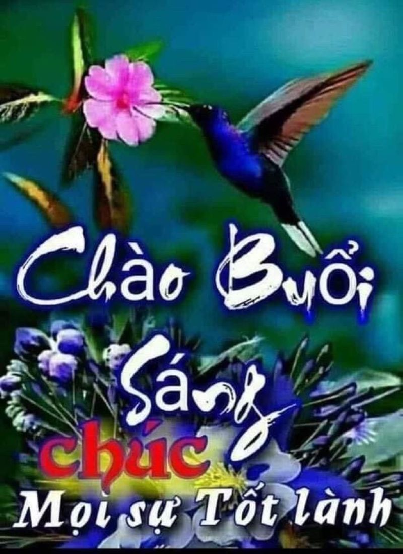 ảnh meme chúc buổi sáng hài hước