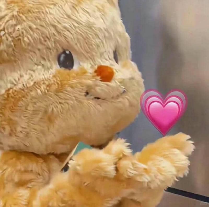ảnh meme cute
